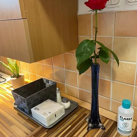 Magnolia Apartman Győr