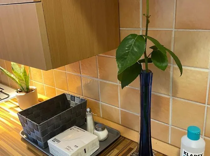 Magnolia Apartament Győr